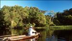 Kayaking the pantanal
